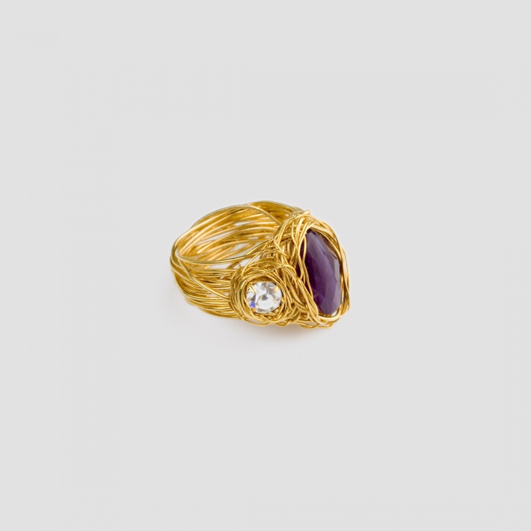 Ring Nest 